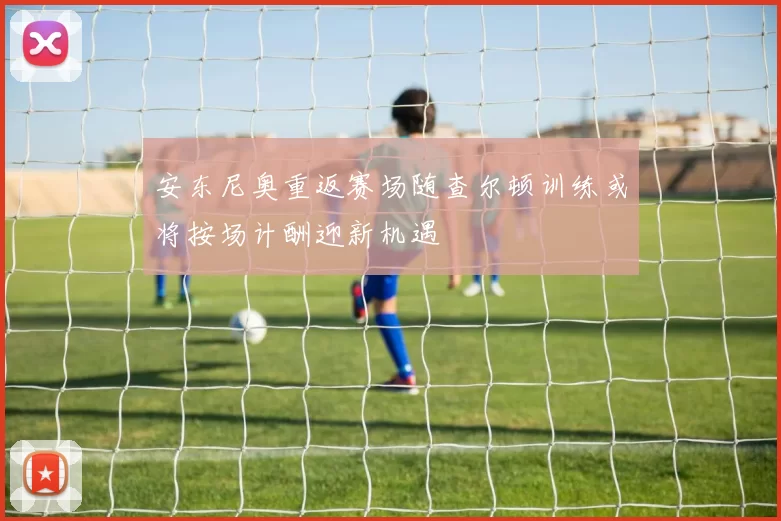 安东尼奥重返赛场随查尔顿训练或将按场计酬迎新机遇